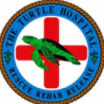 Turtle Hospital Only in the Florida Keys