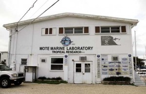 Mote Marine Lab Summerland Key
