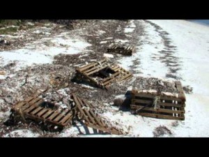 Lobster Traps Washed Ashore