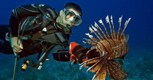 Lionfish Removal