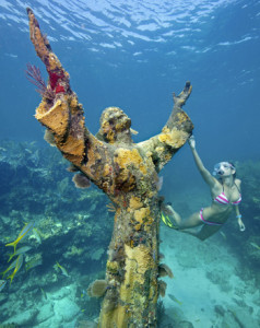 Upper Florida Keys Reef Pennekamp