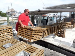 Spiny Lobster Traps