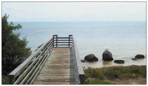 The boardwalk at Long Key State Park offers access to snorkeling areas