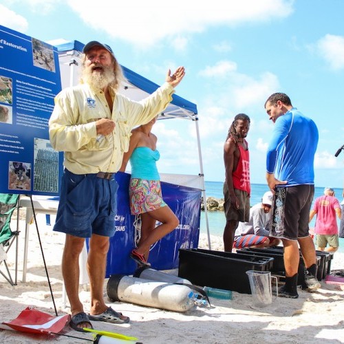 Coral Restoration