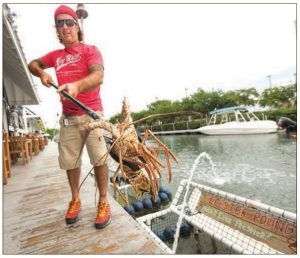 Florida Keys Spiny Lobster