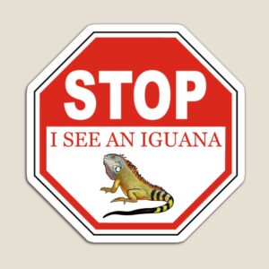Stop I See An Iguana