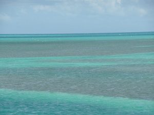 Florida Keys Water Colors