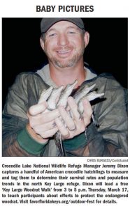 American Crocodile Hatchlings