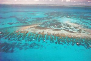 Looe Key Reef Florida Keys Names Top Dives
