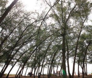 Florida Keys State Parks