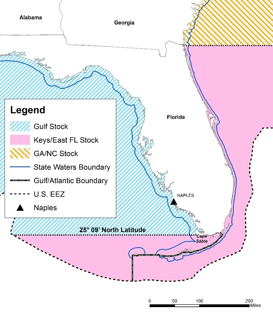 Hogfish Recreational Season map