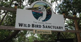 Image result for Florida Keys Wild Bird Rehabilitation Center