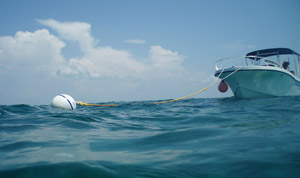 Boat Tied to Mooring Buoy in the Florida Keys Ten Keymandments