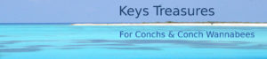 Keys Treasures Fishing Memes