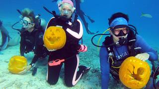 Underwater Pumpkin Carving Contest