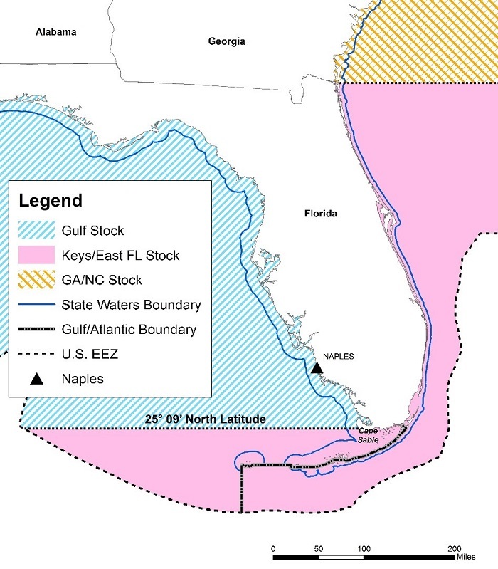 hogfish map