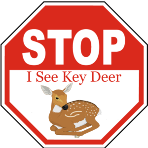 Stop I See Key Deer by Keys Treasures