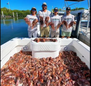 Invasive Lionfish